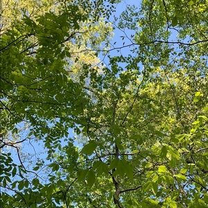 Meet your Posher, Sam